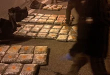 Photo of Две лица приведени и запленети 65 килограми марихуана кај Градско