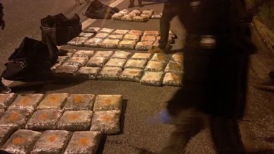 Photo of Две лица приведени и запленети 65 килограми марихуана кај Градско