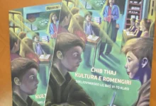 Photo of МОН прв пат обезбедува учебник по „Јазик и култура на Ромите“ за шесто одделение