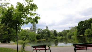 Photo of Сончево и потопло со мала до умерена облачност и умерен ветер