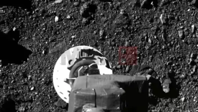 Photo of Научниците предупредуваат – Астероид што ѝ се заканува на Земјата има сила од 22 атомски бомби