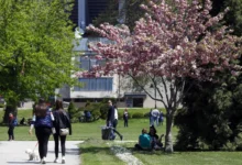 Photo of Сончево со мала до умерена облачност