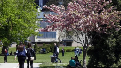 Photo of Сончево со мала до умерена облачност
