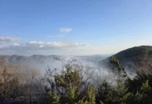 Photo of Пожар кај Арбанашко, Старо Нагоричане изгореа сува трева, смрека и дабова шума