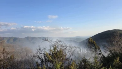 Photo of Пожар кај Арбанашко, Старо Нагоричане изгореа сува трева, смрека и дабова шума