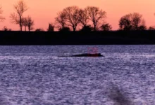 Photo of Болниот кит се уште е заглавен покрај германскиот брег поради нискиот водостој