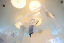 Photo of Во Србија во крајот на јуни најавени големи митинзи на владејачката СНС, опозицијата смета дека во план се избори во јули