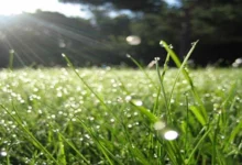 Photo of Променливо време со дожд, грмежи и заладување