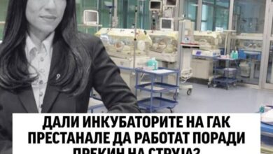 Photo of Левица: Дали инкубаторите на ГАК престанале да работат поради прекин на струја?