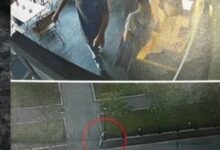 Photo of Политнавигатор: Македонскиот амбасадор во Русија дупе пијан предизвикал сообраќајна несреќа во Москва