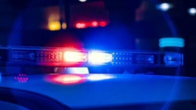 Photo of Во земја за цвеќиња скриле повеќе од 1,1 тон кокаин