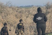 Photo of (Видео) Јованиќ oткри нови детали за експлозивот во близина на Кањижа