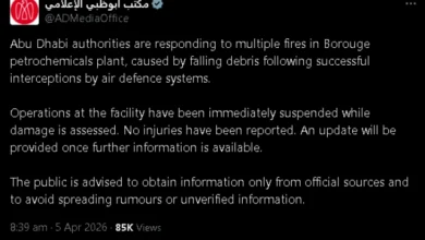 Photo of Неколку пожари избувнаа во петрохемиската фабрика Боруз во Абу Даби