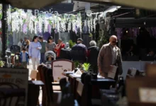 Photo of Сончево и топло, од утре до крајот на неделата дожд