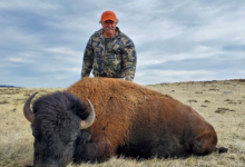 Photo of Милионер и ловец на трофеи од САД загинал во заседа од пет слонови,,