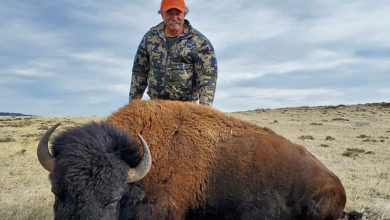 Photo of Милионер и ловец на трофеи од САД загинал во заседа од пет слонови,,