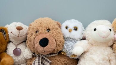 Photo of Од обична ткаенина до симбол на детството: Како мечето стана омилена играчка за многу деца?