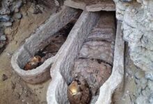 Photo of Копија од хомеровата „Илијада“ пронајдена во мумија стара 1.600 години