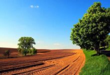 Photo of Асоцијацијата на земјоделци не е задоволна од одлуката на МЗШВ