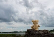 Photo of За шест години, над 600 деца биле силувани или полово нападнати – најмалата жртва била помала од три години