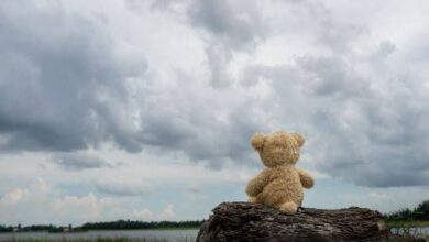 Photo of За шест години, над 600 деца биле силувани или полово нападнати – најмалата жртва била помала од три години