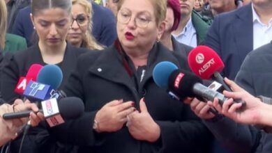 Photo of Јаневска: Образовен институт регистиран во обложувалница, работел со два душека и две столчиња