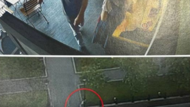 Photo of Инцидентот со пијаниот македонски амбасадор во Москва се случил пред 2 години!