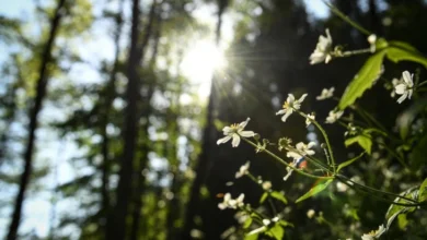 Photo of Утрово најладно во Берово, најтопло во Гевгелија