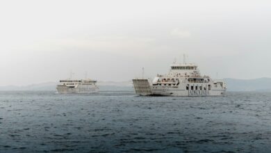 Photo of Силна бура ја погоди Хрватска: Затворени мостови, ветер над 160 км/ч