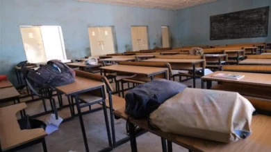 Photo of Во Нигерија киднапирани 42 ученици