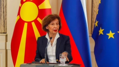 Photo of Сиљановска-Давкова: ЕУ останува наш приоритет, не бараме привилегии, туку доследна примена на европското право