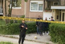 Photo of Маж ја уби партнерката, го застрела шурата и избега со детето – специјалци го бараат, ужас во регионот