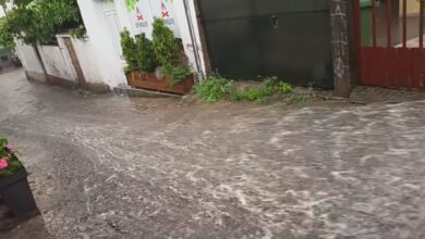 Photo of Невреме ја зафати околината на Кочани – УХМР со предупредување за нестабилност со дожд, грмежи, ветер и град во други градови попладне