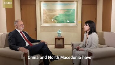 Photo of Стоилковиќ во интервју за кинеска телевизија: Имаме огромен потенцијал за соработка