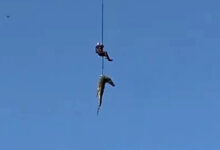Photo of (Видео) Човек изеден од крокодил, полицаец спуштен во река полна со крокодили за да ги извлече остатоците