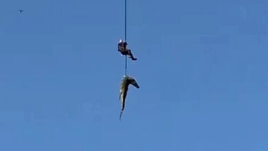 Photo of (Видео) Човек изеден од крокодил, полицаец спуштен во река полна со крокодили за да ги извлече остатоците