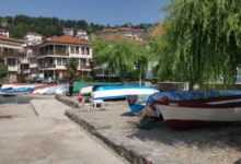Photo of Повик до сопствениците да ги отстранат кајчињата од јавните површини долж брегот на Охридското Езеро