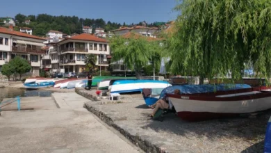Photo of Повик до сопствениците да ги отстранат кајчињата од јавните површини долж брегот на Охридското Езеро