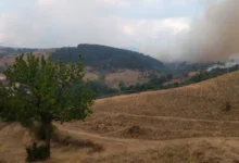 Photo of ЦУК: Активен пожарот во Општина Арачиново, каде гори ѓубре и ниска вегетација, девет изгаснати
