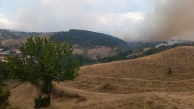 Photo of ЦУК: Активен пожарот во Општина Арачиново, каде гори ѓубре и ниска вегетација, девет изгаснати