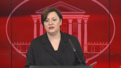 Photo of Димитриеска – Кочоска: На Детската клиника имало лица кои незаконски биле повикани на работа