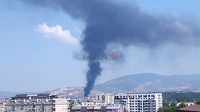 Photo of Гори дива депонија во Шуто Оризари, пожарникарите интервенираат на терен