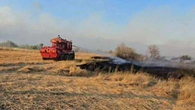 Photo of Пожар во близина на македонско-грчката граница кај Дојран