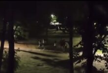 Photo of Канделабрата во паркот во Карпош ја откорнало 13-годишно дете