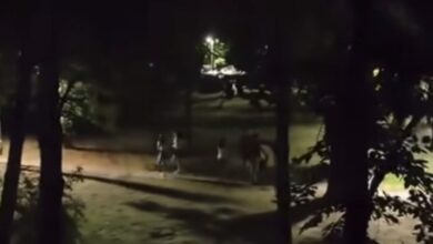 Photo of Канделабрата во паркот во Карпош ја откорнало 13-годишно дете