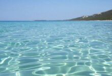 Photo of Две девојчиња загинаа на плажа во Албанија