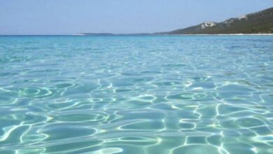 Photo of Две девојчиња загинаа на плажа во Албанија
