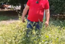 Photo of (Видео) Јакимовски- Вака изгледа Карпош управуван од два  тројца градоначалници и специијален надзор на премиерот