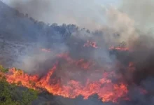 Photo of Ер трактор гаснеше во Велес – пожарот беснее близу затворот