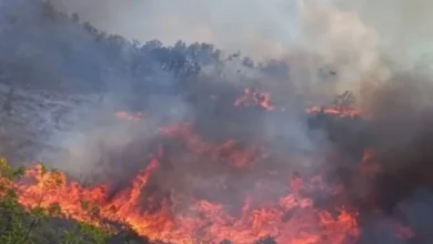 Photo of Ер трактор гаснеше во Велес – пожарот беснее близу затворот